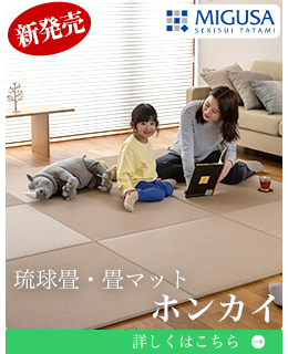 楽天市場】【クーポン＆ポイント5倍☆5/16 01:59まで】\有吉ゼミ
