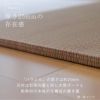 カラー染色した中国産い草製置き畳「パラレル」の設置イメージ