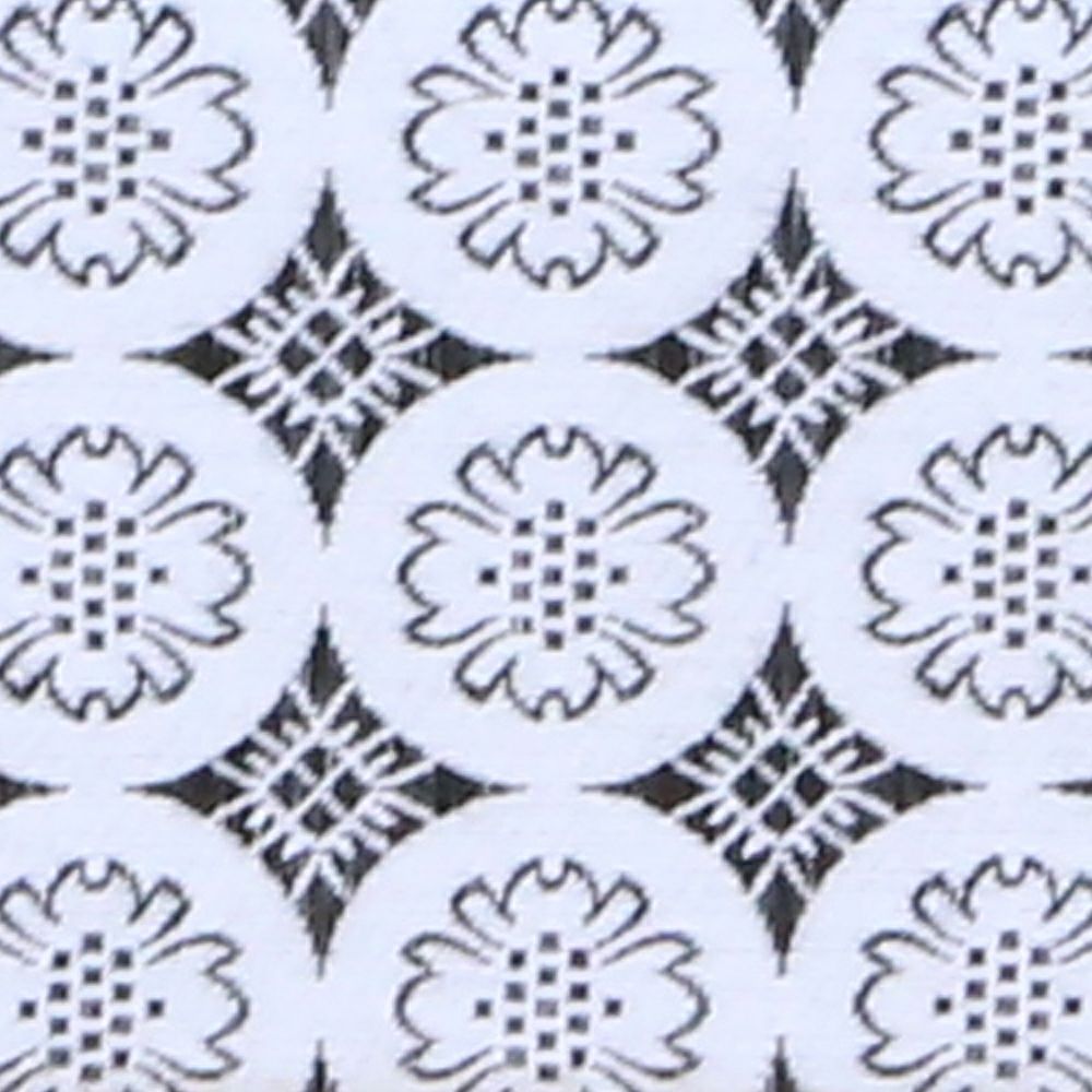 白中紋縁の拡大画像